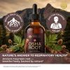 HEBS lab Osha Root Tincture Liquid Extract – Extra Strength Lung & Respiratory Support Supplement, 2 fl oz