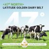 Active Collagen L-Carnitine Compound Dietary Supplement, Grass-Fed Bovine Collagen Peptides, Bovine Colostrum, Cinnamon Extract, Mulberry Leaf Extract